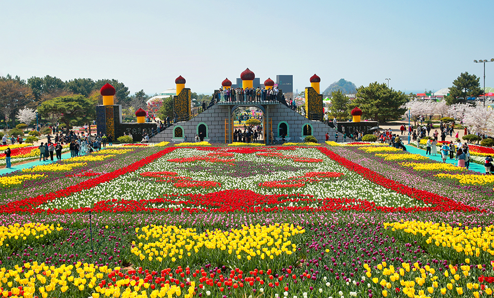 Taean Tulip Festival + Strawberry Picking Day tour from Seoul - Photo 1 of 10